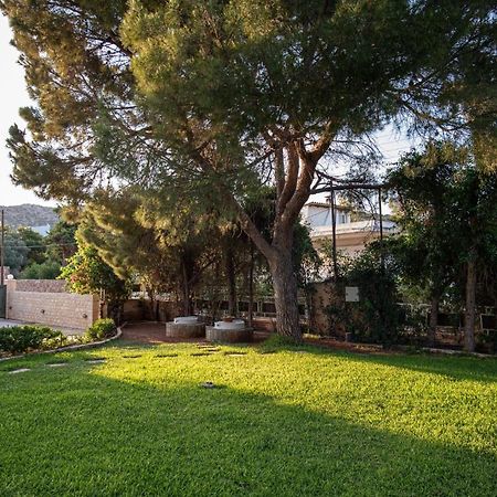 Sounio Panoramic Loft Apartment ซูนิโอ ภายนอก รูปภาพ