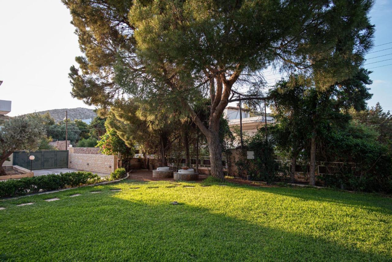 Sounio Panoramic Loft Apartment ซูนิโอ ภายนอก รูปภาพ